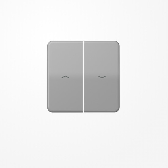 Jung CD595PBFGR Wippe, mit Pfeilsymbolen, Thermoplast, Serie CD, grau