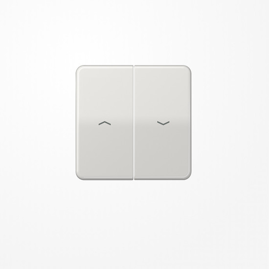 Jung CD595PBFLG Wippe, mit Pfeilsymbolen, Thermoplast, Serie CD, lichtgrau