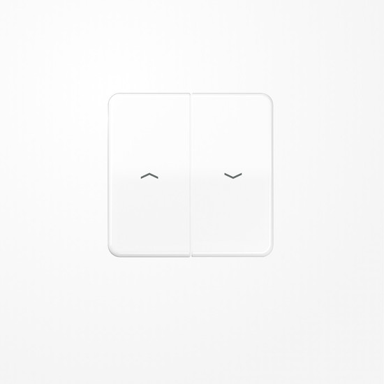 Jung CD595PBFWW Wippe, mit Pfeilsymbolen, Thermoplast, Serie CD, alpinweiß