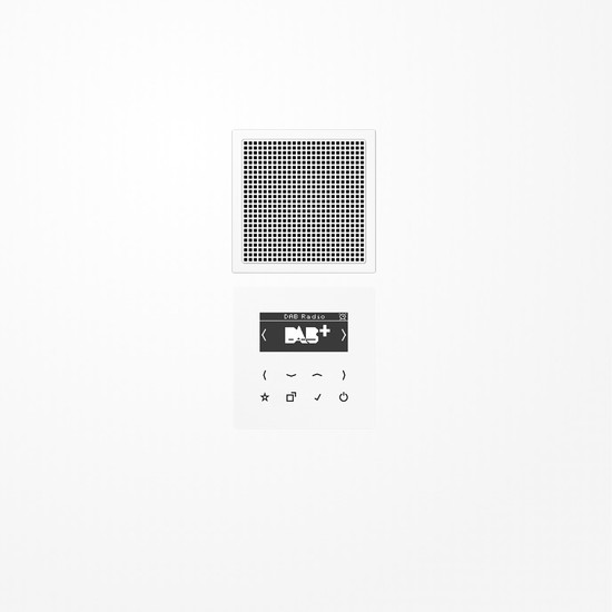 Jung DABLS1WW Smart Radio DAB+, Set Mono, Serie LS, alpinweiß
