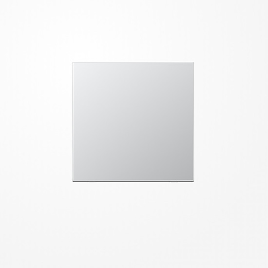 Jung ENOAL2990-L EnOcean Funk-Wandsender , 2-kanalig, Serie LS, Aluminium