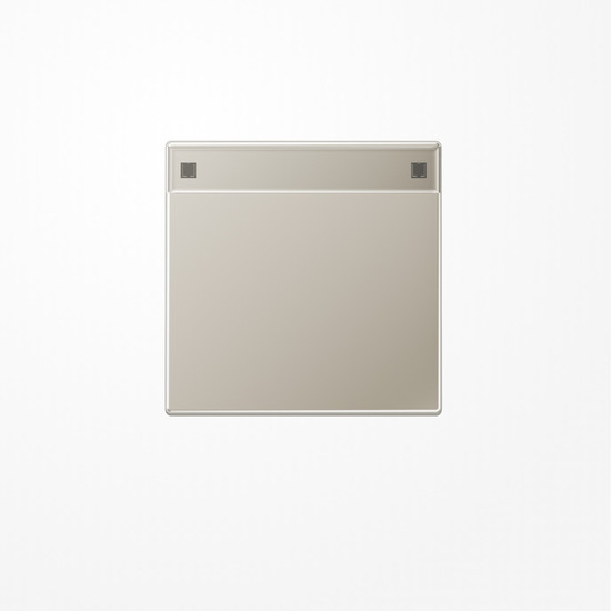 Jung ES2990NA Wippe, mit Schriftfeld, Serie LS, Edelstahl