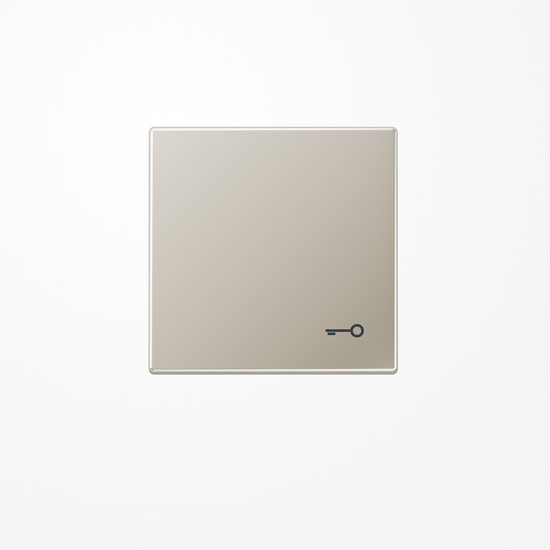 Jung ES2990T Wippe, Symbol Tür, Serie LS, Edelstahl