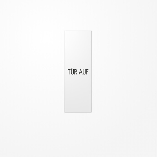 Jung ES2993DWW Großflächenwippe (70x212,4mm), Text Tür auf, senkrecht, Serie LS, alpinweiß