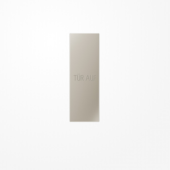 Jung ES2993P Großflächenwippe (70x212,4mm), Text Tür auf, senkrecht, Serie LS, Edelstahl