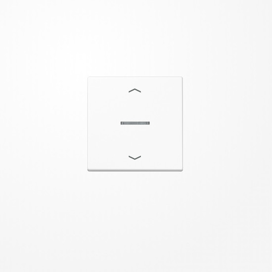 Jung FMAS1700PWW eNet Taster Standard 1fach, mit Pfeilsymbolen, Duroplast, Serie AS, alpinweiß