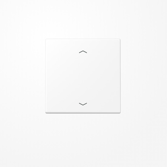 Jung LS101PWWM Wippe, mit Pfeilsymbolen für Taster 1fach, Duroplast lackiert, F10, Serie LS, schneeweiß matt