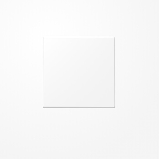 Jung LS101WWM Wippe für Taster 1fach, Duroplast lackiert, F10, Serie LS, schneeweiß matt