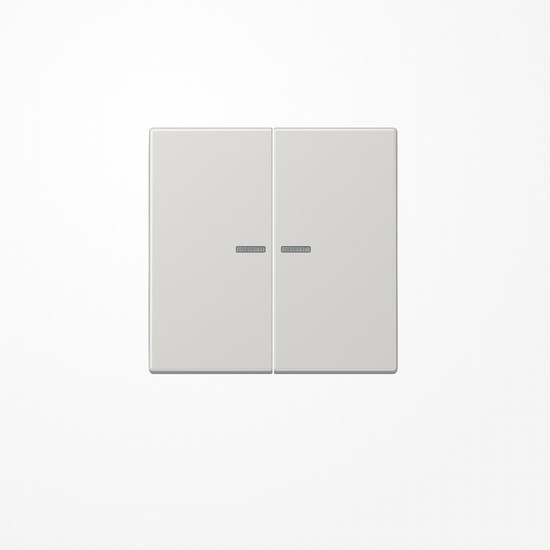 Jung LS102KO5LG Wippe mit Lichtleiter für Taster 2fach, Duroplast, F10, Serie LS, lichtgrau