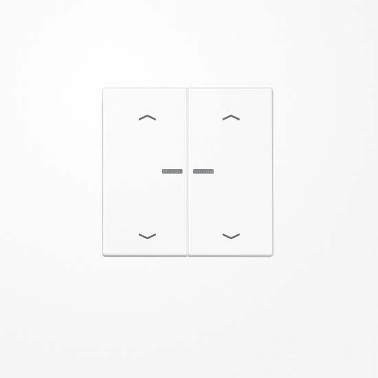 Jung LS102KO5PWW Wippe mit Lichtleiter, mit Pfeilsymbolen für Taster 2fach, Duroplast, F10, Serie LS, alpinweiß
