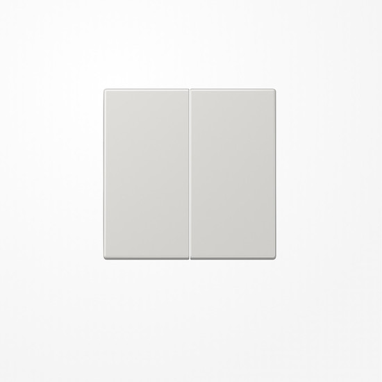 Jung LS102LG Wippe für Taster 2fach, Duroplast, F10, Serie LS, lichtgrau