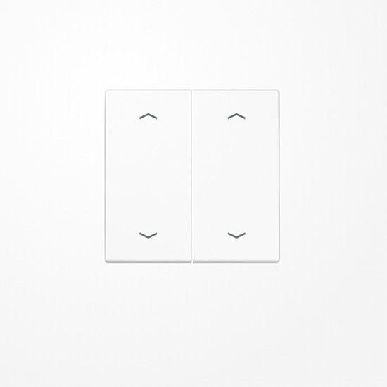 Jung LS102PWW Wippe, mit Pfeilsymbolen für Taster 2fach, Duroplast, F10, Serie LS, alpinweiß