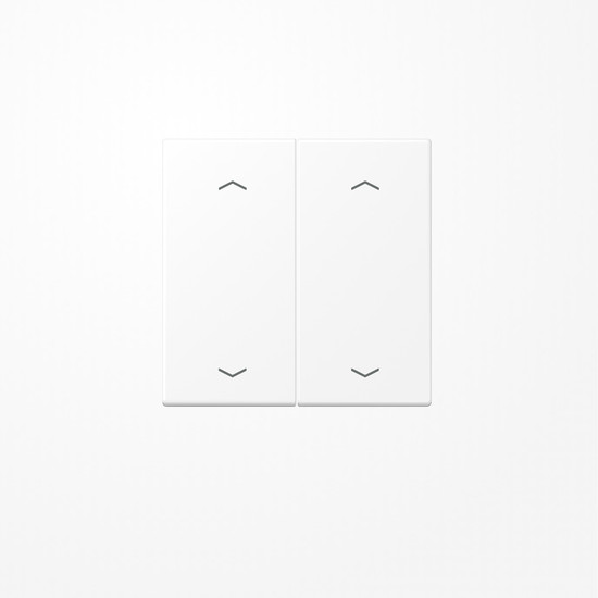 Jung LS102PWWM Wippe, mit Pfeilsymbolen für Taster 2fach, Duroplast lackiert, F10, Serie LS, schneeweiß matt