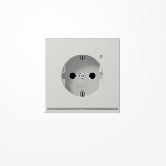 Jung LS1520-OLGLNW SCHUKO-Steckdose, 16 A 250 V ~, mit LED-Orientierungslicht, SAFETY+, Thermoplast, Serie LS, lichtgrau
