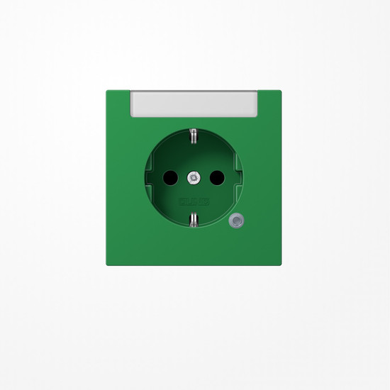 Jung LS1520INAKOGN SCHUKO-Steckdose, 16 A 250 V ~, mit Funktionsanzeige, mit integriertem Beschriftungsfeld (sprühnebeldicht), SAFETY+, Thermoplast, Serie LS, grün (für