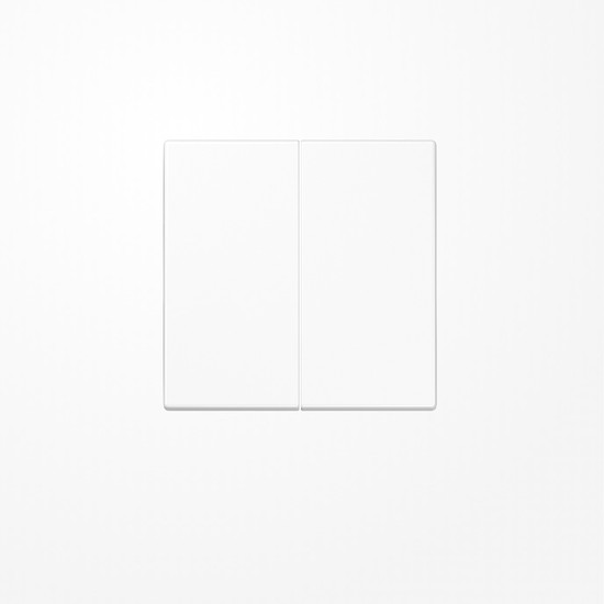 Jung LS1702WW LB-Management Taster 2fach, Duroplast, Serie LS, alpinweiß