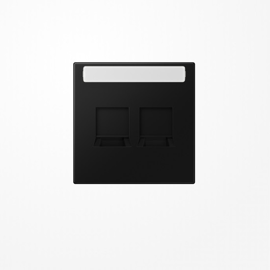 Jung LS1969-25NAWESWM Abdeckung (gerastet) für Modular-Jack-Steckbuchsen, 2fach, EMT, AMP, MTRJ, mit Schriftfeld, Serie LS, graphitschwarz matt