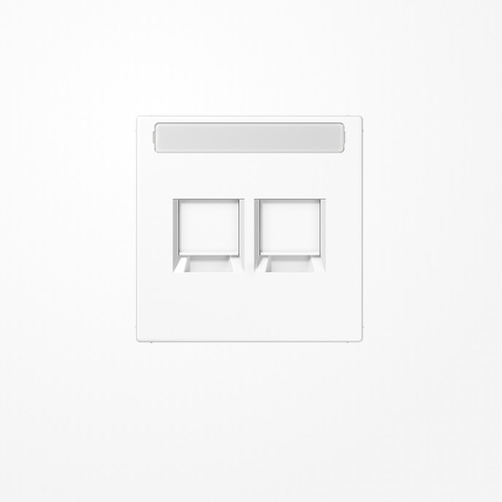 Jung LS1969-25NAWEWW Abdeckung (gerastet) für Modular-Jack-Steckbuchsen, 2fach, EMT, AMP, MTRJ, mit Schriftfeld, Serie LS, alpinweiß