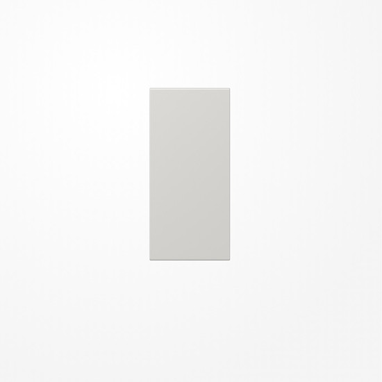 Jung LS50NALG Abdeckung in Tastenfarbe, F50, Thermoplast, Serie LS, lichtgrau