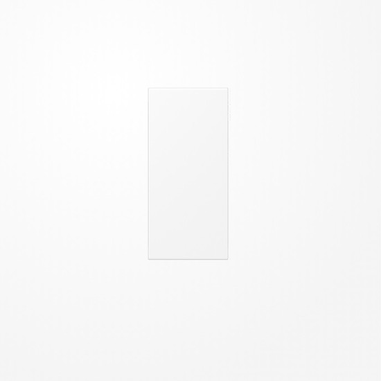 Jung LS50NAWWM Abdeckung in Tastenfarbe, F50, Thermoplast lackiert, Serie LS, schneeweiß matt