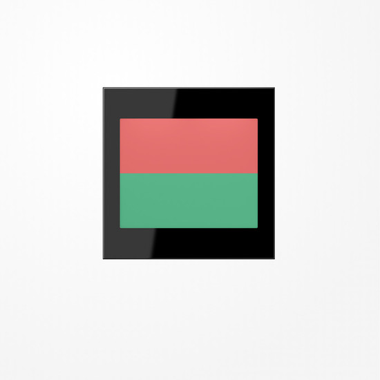 Jung LS539-2SWLEDRG LED-Lichtsignal Ampelfunktion, rot und grün, Serie LS, schwarz