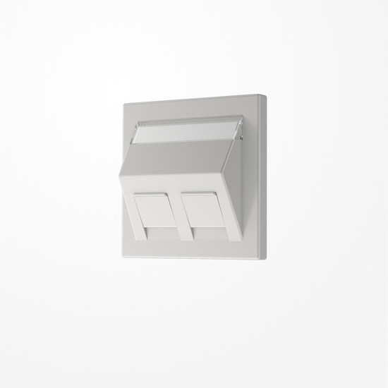 Jung LS569-30BFPLLG Abdeckung für Montageadapter 30°, 2fach, mit Schriftfeld, Serie LS, lichtgrau