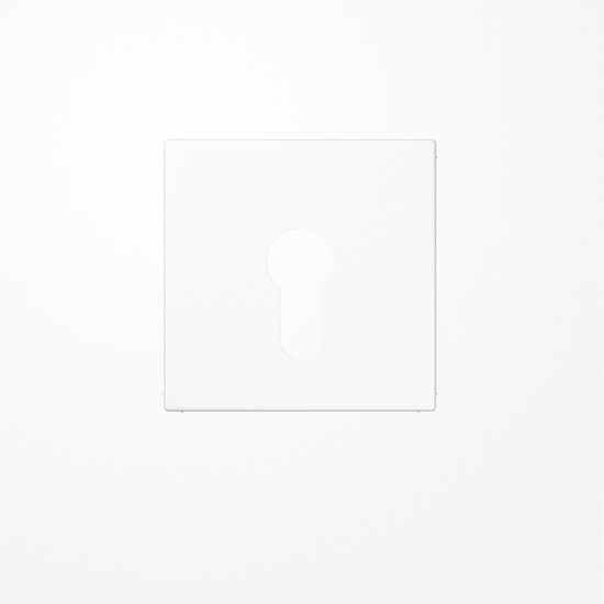 Jung LS925WW Abdeckung für Schlüsselschalter ohne Demontageschutz, Thermoplast, Serie LS, alpinweiß