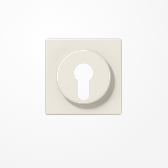 Jung LS928 Abdeckung für Schlüsselschalter mit Demontageschutz, Thermoplast, Serie LS, weiß