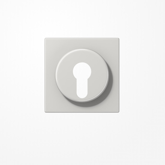 Jung LS928LG Abdeckung für Schlüsselschalter mit Demontageschutz, Thermoplast, Serie LS, lichtgrau