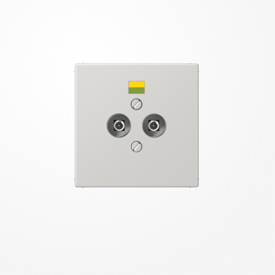 Jung LS965-2LG Potentialausgleich-Steckdose, Duroplast, Serie LS, lichtgrau
