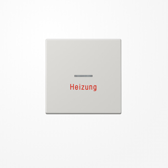 Jung LS990HLG Wippe mit Lichtleiter, Aufschrift Heizung, Duroplast, Serie LS, lichtgrau