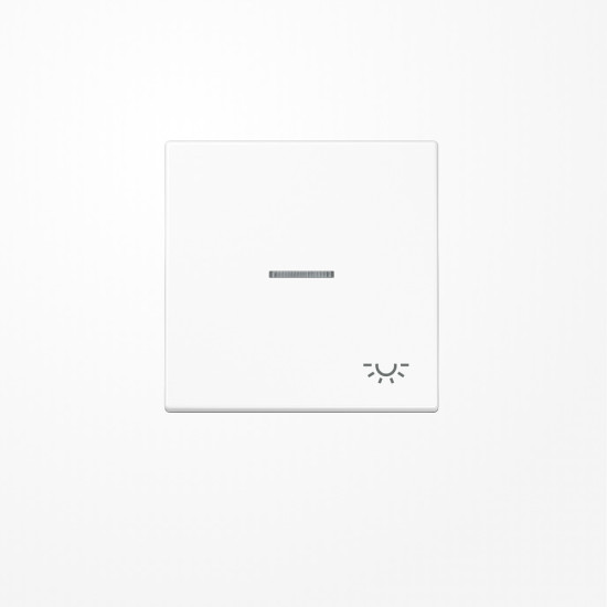 Jung LS990KO5LWW Wippe mit Lichtleiter, Symbol Licht, Duroplast, Serie LS, alpinweiß