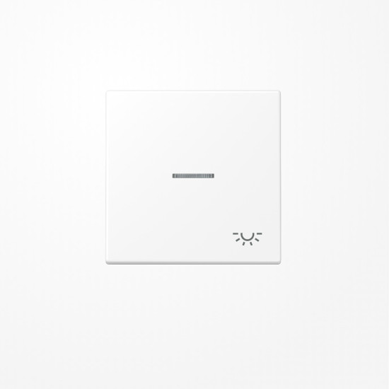 Jung LS990KO5LWWM Wippe mit Lichtleiter, Symbol Licht, Duroplast lackiert, Serie LS, schneeweiß matt