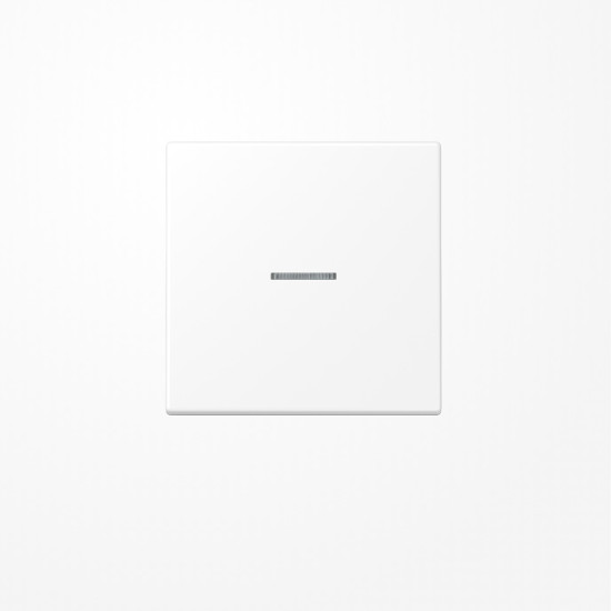 Jung LS990KO5WWM Wippe mit Lichtleiter, Duroplast lackiert, Serie LS, schneeweiß matt