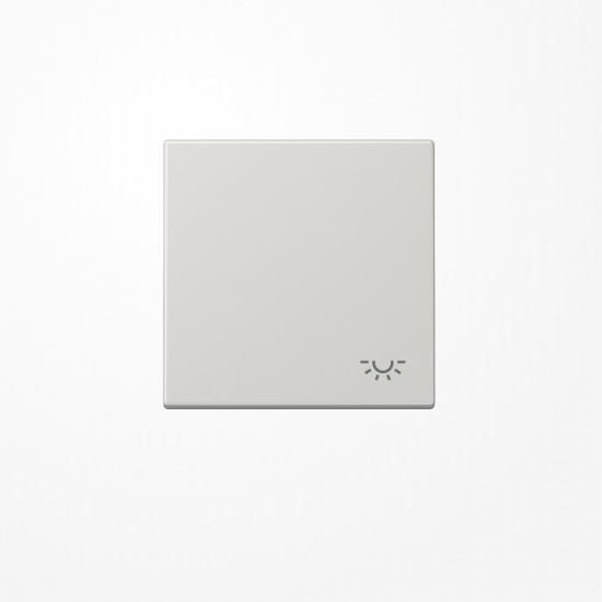 Jung LS990LLG Wippe, Symbol Licht, Duroplast, Serie LS, lichtgrau