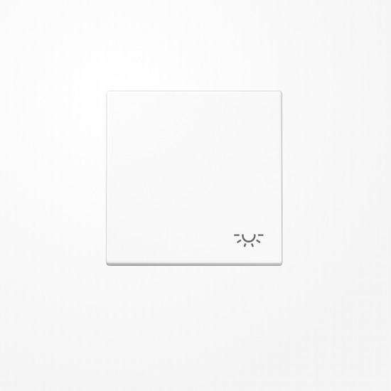 Jung LS990LWW Wippe, Symbol Licht, Duroplast, Serie LS, alpinweiß