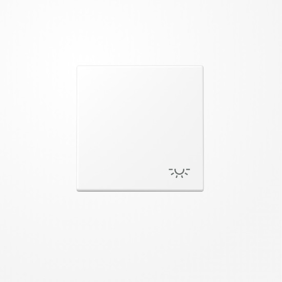 Jung LS990LWWM Wippe, Symbol Licht, Duroplast lackiert, Serie LS, schneeweiß matt