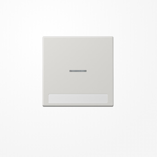 Jung LS990NAKO5LG Wippe mit Lichtleiter, mit Schriftfeld, Duroplast, Serie LS, lichtgrau
