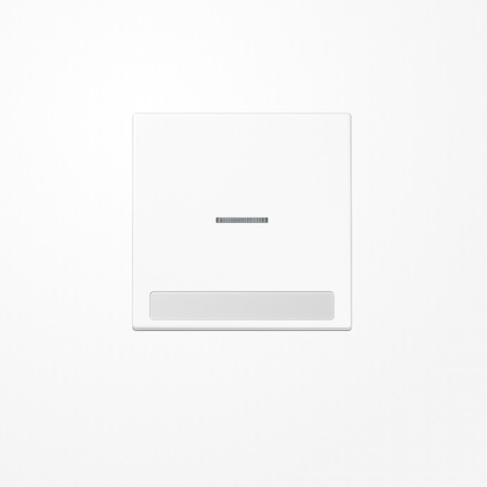 Jung LS990NAKO5WW Wippe mit Lichtleiter, mit Schriftfeld, Duroplast, Serie LS, alpinweiß