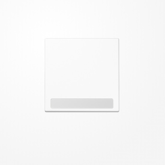 Jung LS990NAWW Wippe, mit Schriftfeld, Duroplast, Serie LS, alpinweiß