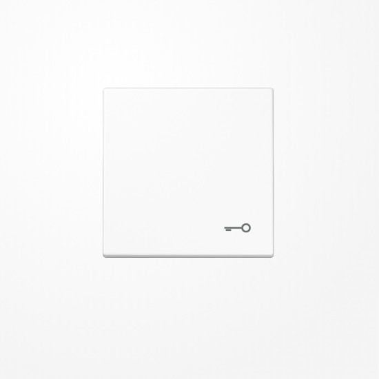 Jung LS990TWW Wippe, Symbol Tür, Duroplast, Serie LS, alpinweiß