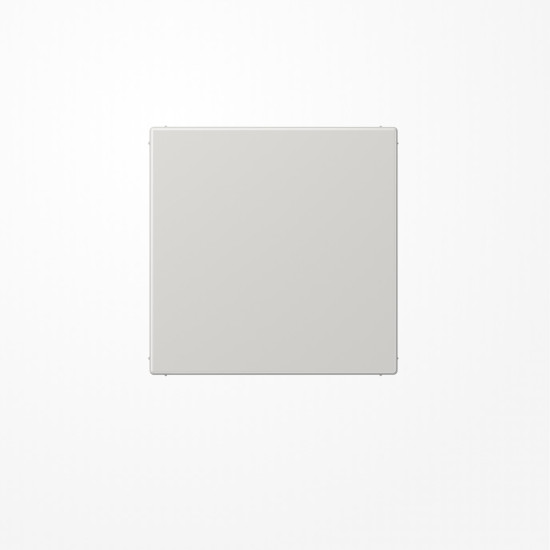 Jung LS994BLG Blind-Abdeckung (gerastet), Thermoplast, Serie LS, lichtgrau