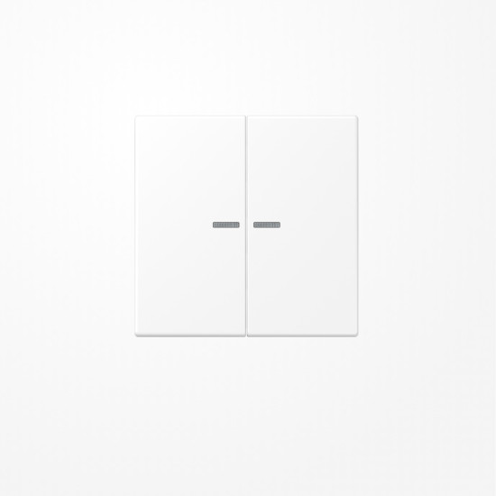 Jung LS995KO5WWM Wippe mit Lichtleiter, Duroplast lackiert, Serie LS, schneeweiß matt