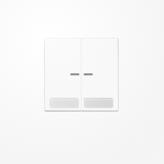 Jung LS995NAKO5WW Wippe mit Lichtleiter, mit Schriftfeld, Duroplast, Serie LS, alpinweiß