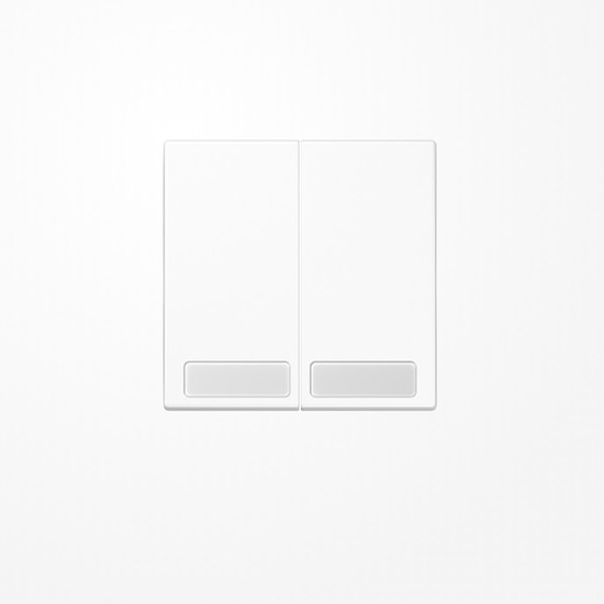 Jung LS995NAWW Wippe, mit Schriftfeld, Duroplast, Serie LS, alpinweiß