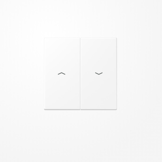 Jung LS995PWWM Wippe, mit Pfeilsymbolen, Duroplast lackiert, Serie LS, schneeweiß matt