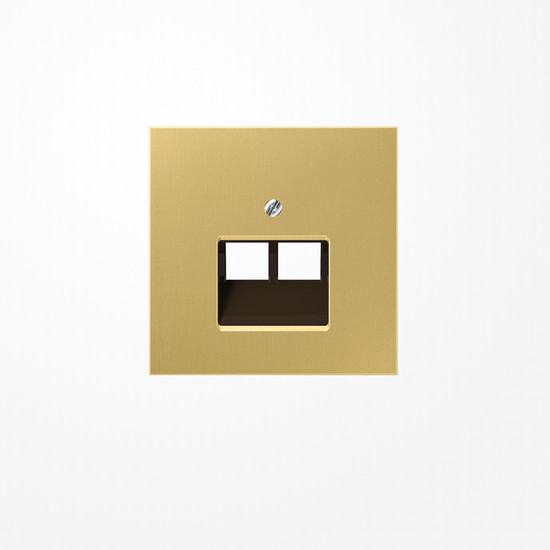 Jung ME2969-2UAC Abdeckung für IAE/UAE-Anschlussdosen 2x8-polig, Messing, Serie LS, Messing classic