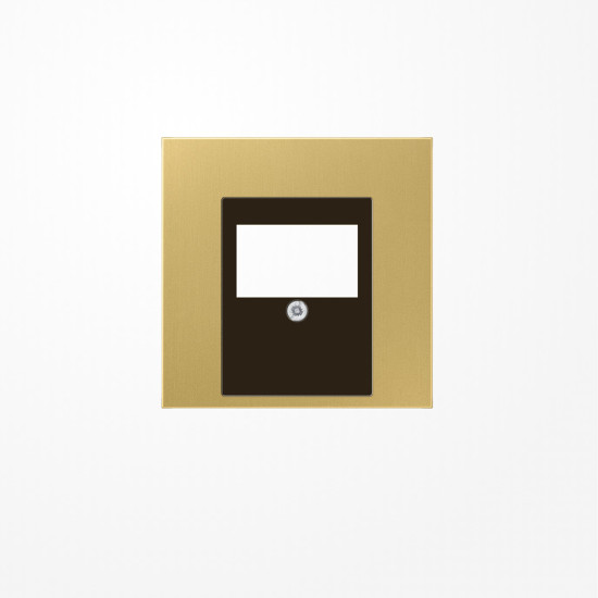 Jung ME2969TC Abdeckung für TAE-Anschlussdosen 1fach, Messing, Serie LS, Messing classic