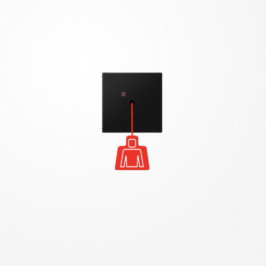 Jung NRSLS0834ZTSWM Notrufsystem Zugtaster, Serie LS, graphitschwarz matt