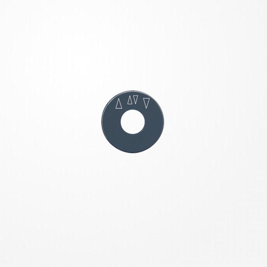 Jung SKS1234.10 Skalenscheibe, mit 4 Pfeilsymbolen, anthrazit